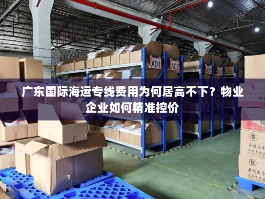 广东国际海运专线费用为何居高不下？物业企业如何精准控价