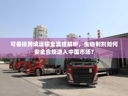 可善挺跨境运输全流程解析，生物制剂如何安全合规进入中国市场？