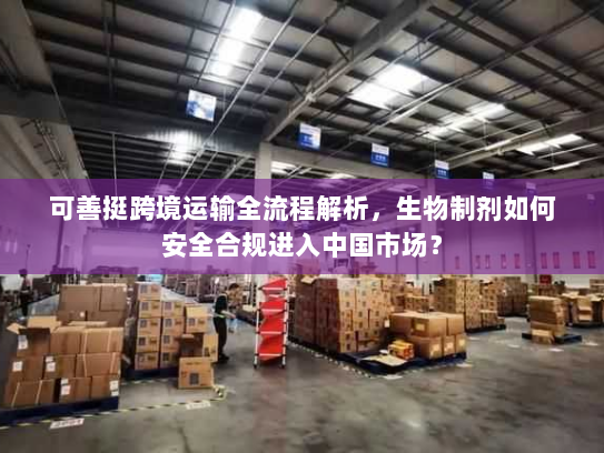 可善挺跨境运输全流程解析，生物制剂如何安全合规进入中国市场？