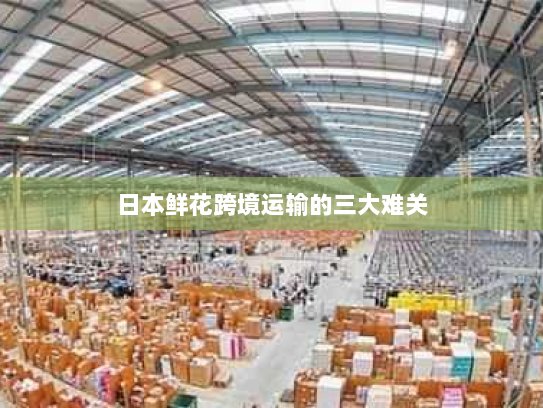日本鲜花跨境运输的三大难关 日本鲜花跨境运输的三大难关