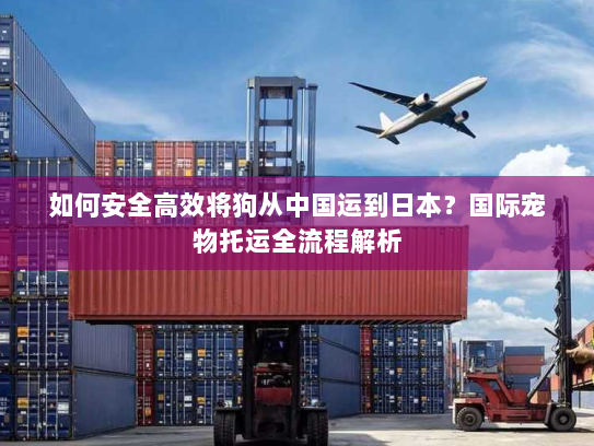 如何安全高效将狗从中国运到日本?国际宠物托运全流程解析 如何安全高效将狗从中国运到日本?国际宠物托运全流程解析