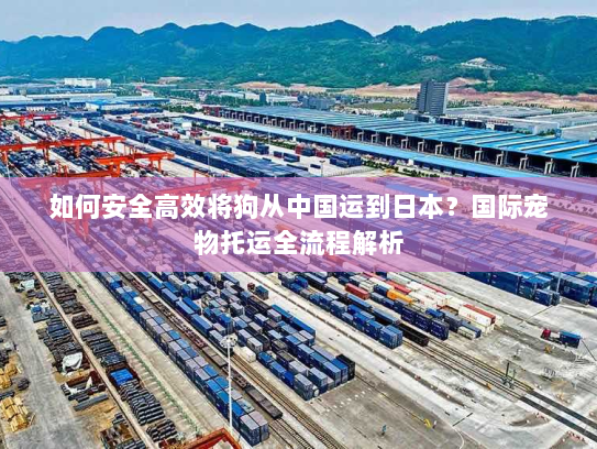 如何安全高效将狗从中国运到日本?国际宠物托运全流程解析 如何安全高效将狗从中国运到日本?国际宠物托运全流程解析