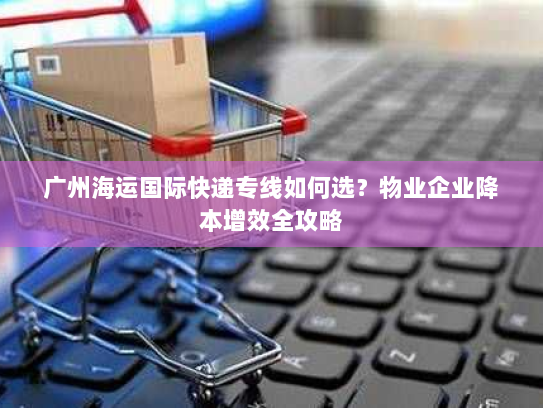 广州海运国际快递专线如何选?物业企业降本增效全攻略 广州海运国际快递专线如何选?物业企业降本增效全攻略