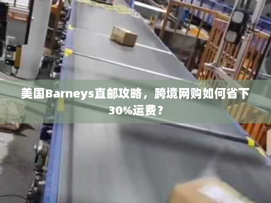 美国Barneys直邮攻略,跨境网购如何省下30%运费? 美国Barneys直邮攻略,跨境网购如何省下30%运费?