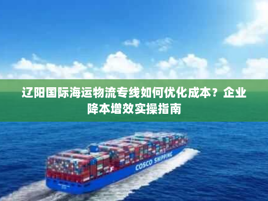 辽阳国际海运物流专线如何优化成本？企业降本增效实操指南