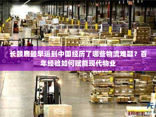 长颈鹿最早运到中国经历了哪些物流难题?百年经验如何赋能现代物业 长颈鹿最早运到中国经历了哪些物流难题?百年经验如何赋能现代物业