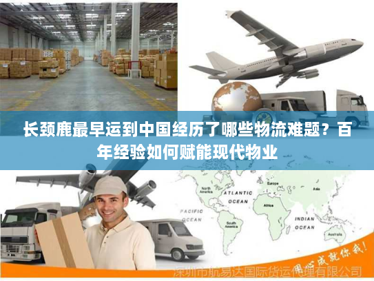 长颈鹿最早运到中国经历了哪些物流难题？百年经验如何赋能现代物业