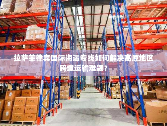 拉萨菲律宾国际海运专线如何解决高原地区跨境运输难题？