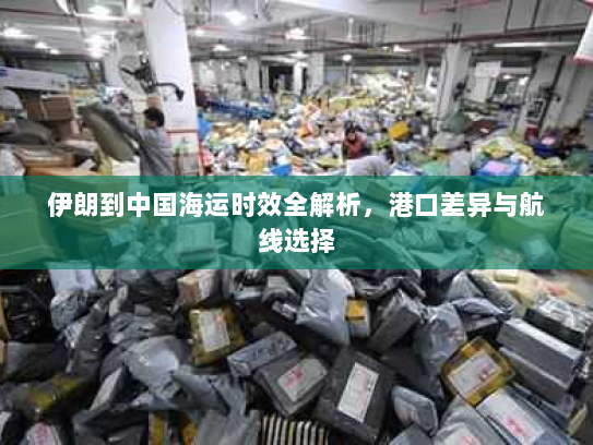 伊朗到中国海运时效全解析,港口差异与航线选择 伊朗到中国海运时效全解析,港口差异与航线选择