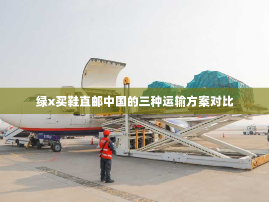 绿x买鞋直邮中国的三种运输方案对比