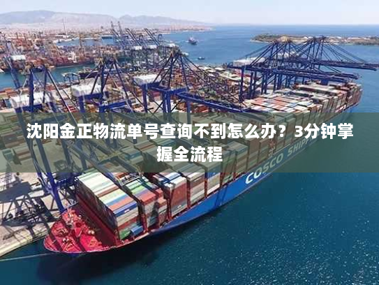 沈阳金正物流单号查询不到怎么办?3分钟掌握全流程 沈阳金正物流单号查询不到怎么办?3分钟掌握全流程