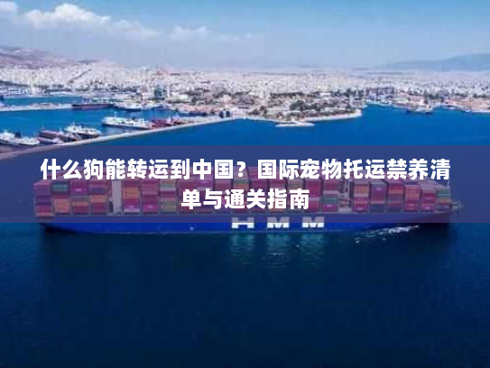 什么狗能转运到中国?国际宠物托运禁养清单与通关指南 什么狗能转运到中国?国际宠物托运禁养清单与通关指南