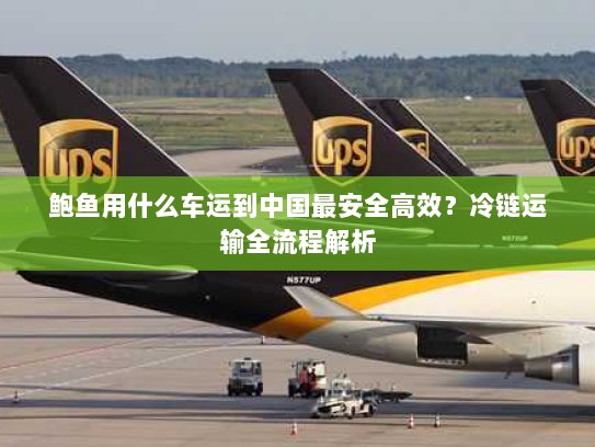 鲍鱼用什么车运到中国最安全高效?冷链运输全流程解析 鲍鱼用什么车运到中国最安全高效?冷链运输全流程解析