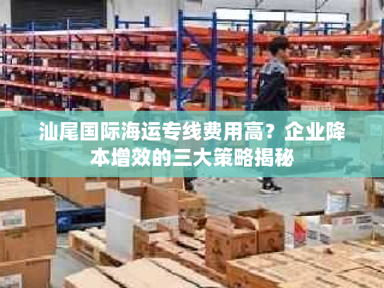 汕尾国际海运专线费用高？企业降本增效的三大策略揭秘