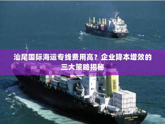 汕尾国际海运专线费用高？企业降本增效的三大策略揭秘