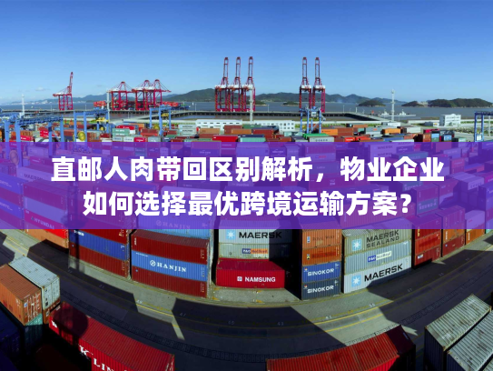 直邮人肉带回区别解析，物业企业如何选择最优跨境运输方案？