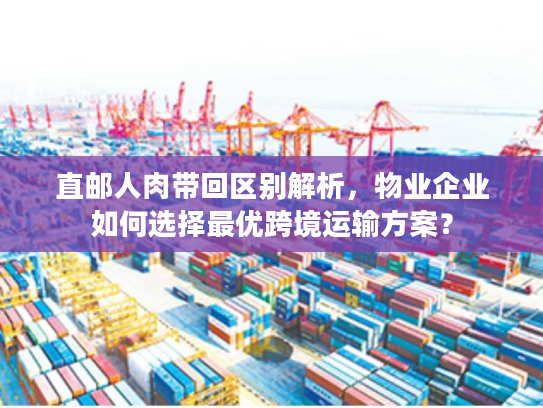 直邮人肉带回区别解析，物业企业如何选择最优跨境运输方案？