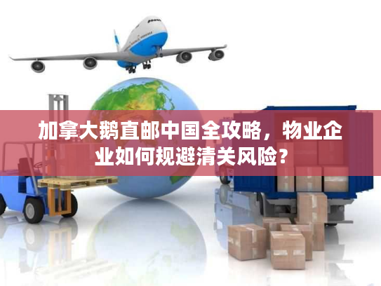 加拿大鹅直邮中国全攻略，物业企业如何规避清关风险？