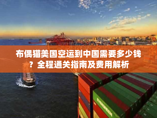 布偶猫美国空运到中国需要多少钱?全程通关指南及费用解析 布偶猫美国空运到中国需要多少钱?全程通关指南及费用解析