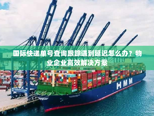 国际快递单号查询跟踪遇到延迟怎么办？物业企业高效解决方案