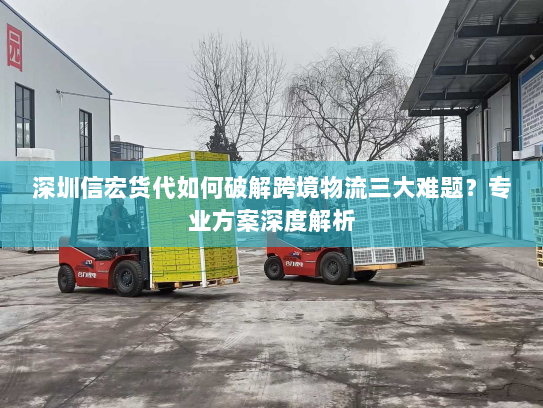 深圳信宏货代如何破解跨境物流三大难题？专业方案深度解析