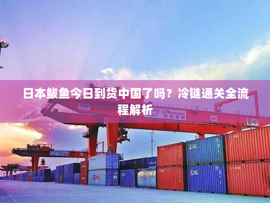 日本鲅鱼今日到货中国了吗?冷链通关全流程解析 日本鲅鱼今日到货中国了吗?冷链通关全流程解析