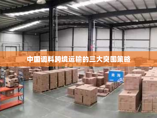 中国调料跨境运输的三大突围策略 中国调料跨境运输的三大突围策略