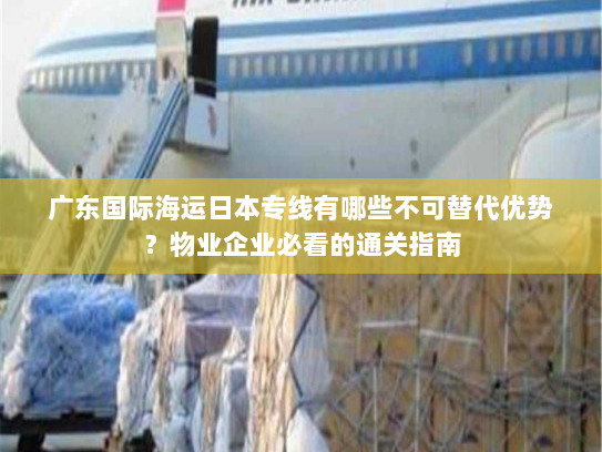 广东国际海运日本专线有哪些不可替代优势？物业企业必看的通关指南