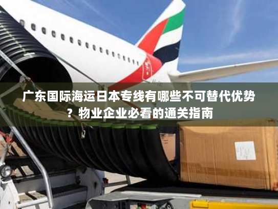广东国际海运日本专线有哪些不可替代优势?物业企业必看的通关指南 广东国际海运日本专线有哪些不可替代优势?物业企业必看的通关指南
