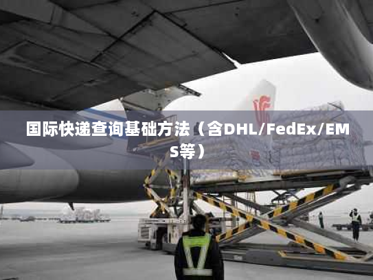 国际快递查询基础方法(含DHL/FedEx/EMS等) 国际快递查询基础方法(含DHL/FedEx/EMS等)