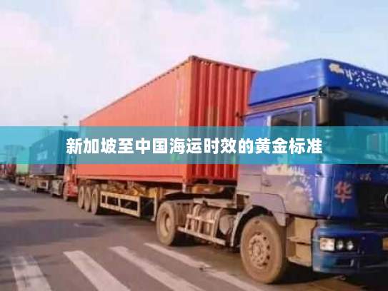 新加坡至中国海运时效的黄金标准