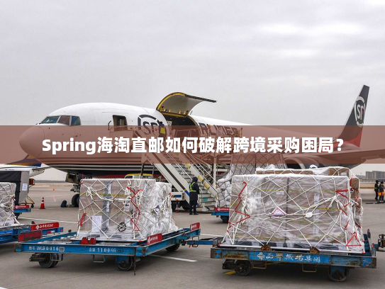 Spring海淘直邮如何破解跨境采购困局？