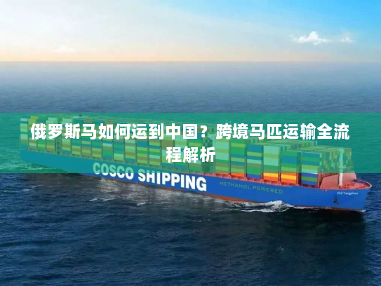 俄罗斯马如何运到中国？跨境马匹运输全流程解析