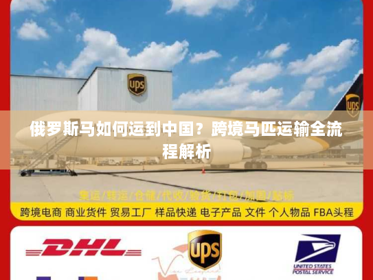 俄罗斯马如何运到中国?跨境马匹运输全流程解析 俄罗斯马如何运到中国?跨境马匹运输全流程解析