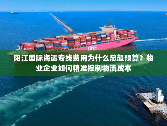 阳江国际海运专线费用为什么总超预算?物业企业如何精准控制物流成本 阳江国际海运专线费用为什么总超预算?物业企业如何精准控制物流成本