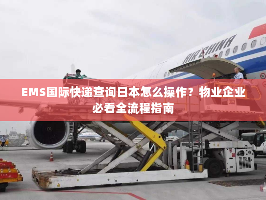 EMS国际快递查询日本怎么操作？物业企业必看全流程指南