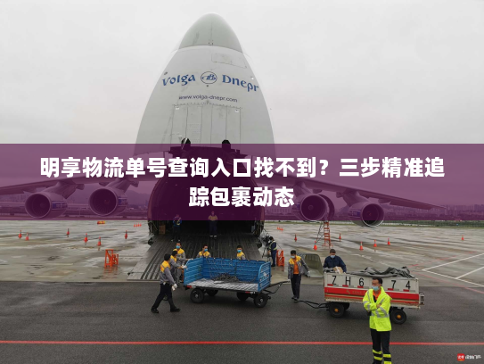 明享物流单号查询入口找不到?三步精准追踪包裹动态 明享物流单号查询入口找不到?三步精准追踪包裹动态