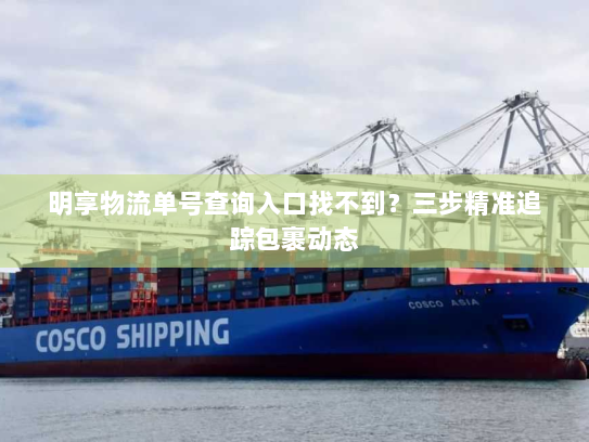 明享物流单号查询入口找不到?三步精准追踪包裹动态 明享物流单号查询入口找不到?三步精准追踪包裹动态
