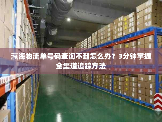瀛海物流单号码查询不到怎么办？3分钟掌握全渠道追踪方法