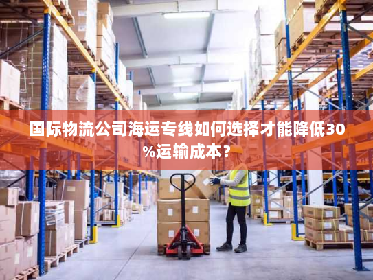 国际物流公司海运专线如何选择才能降低30%运输成本？
