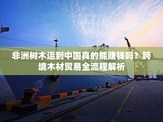 非洲树木运到中国真的能赚钱吗？跨境木材贸易全流程解析