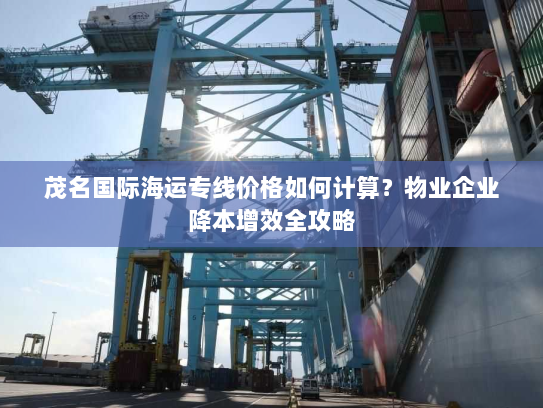 茂名国际海运专线价格如何计算?物业企业降本增效全攻略 茂名国际海运专线价格如何计算?物业企业降本增效全攻略