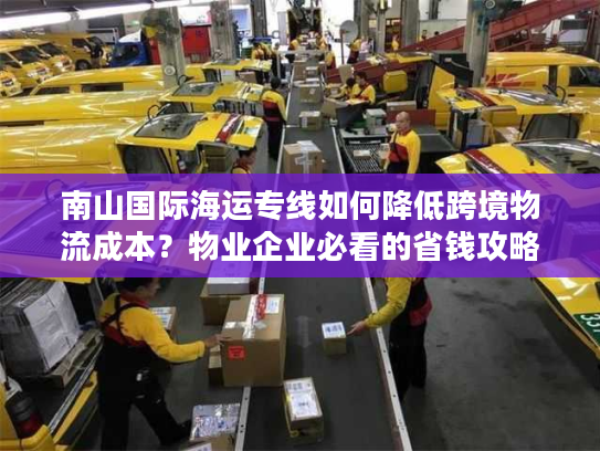 南山国际海运专线如何降低跨境物流成本？物业企业必看的省钱攻略