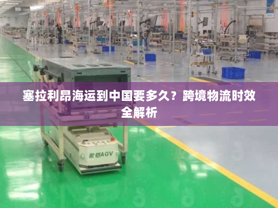 塞拉利昂海运到中国要多久？跨境物流时效全解析