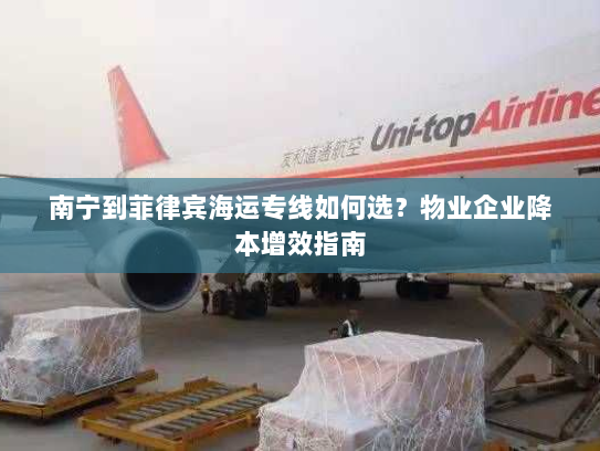 南宁到菲律宾海运专线如何选？物业企业降本增效指南