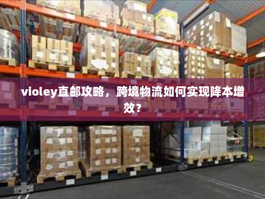 violey直邮攻略，跨境物流如何实现降本增效？