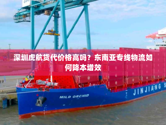 深圳虎航货代价格高吗?东南亚专线物流如何降本增效 深圳虎航货代价格高吗?东南亚专线物流如何降本增效