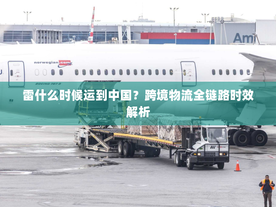 雷什么时候运到中国?跨境物流全链路时效解析 雷什么时候运到中国?跨境物流全链路时效解析