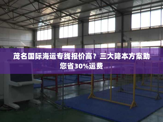 茂名国际海运专线报价高？三大降本方案助您省30%运费