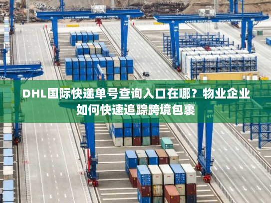 DHL国际快递单号查询入口在哪？物业企业如何快速追踪跨境包裹